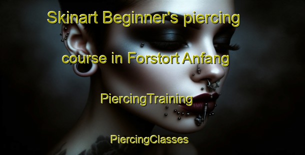 Skinart Beginner's piercing course in Forstort Anfang | PiercingTraining | PiercingClasses | SkinartTraining-Germany