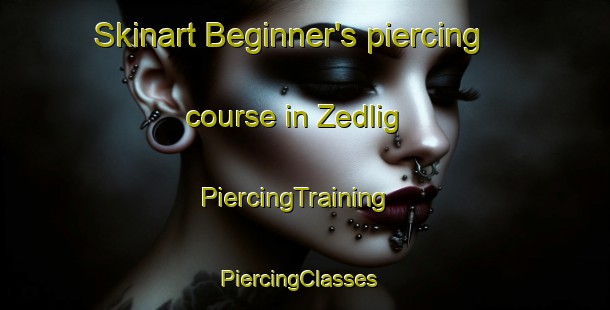 Skinart Beginner's piercing course in Zedlig | PiercingTraining | PiercingClasses | SkinartTraining-Germany
