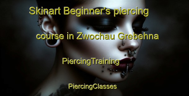 Skinart Beginner's piercing course in Zwochau Grebehna | PiercingTraining | PiercingClasses | SkinartTraining-Germany