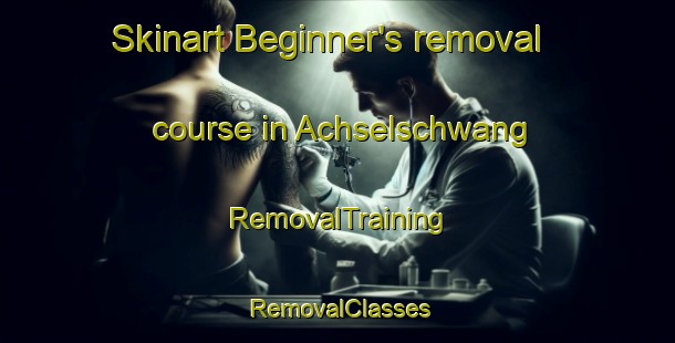 Skinart Beginner's removal course in Achselschwang | RemovalTraining | RemovalClasses | SkinartTraining-Germany