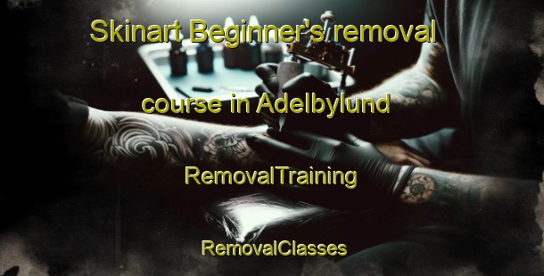 Skinart Beginner's removal course in Adelbylund | RemovalTraining | RemovalClasses | SkinartTraining-Germany