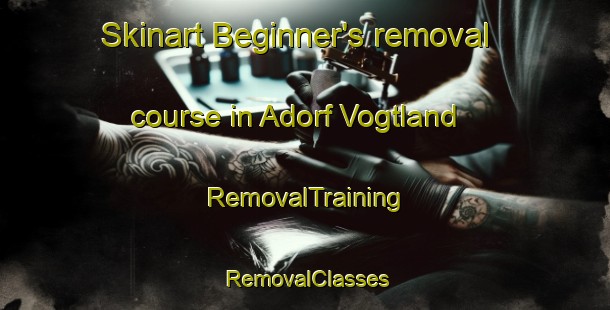 Skinart Beginner's removal course in Adorf Vogtland | RemovalTraining | RemovalClasses | SkinartTraining-Germany