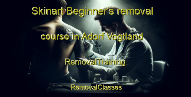 Skinart Beginner's removal course in Adorf Vogtland | RemovalTraining | RemovalClasses | SkinartTraining-Germany