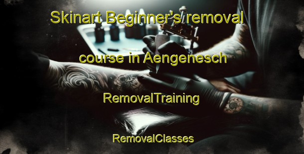 Skinart Beginner's removal course in Aengenesch | RemovalTraining | RemovalClasses | SkinartTraining-Germany