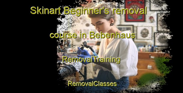 Skinart Beginner's removal course in Bebenhaus | RemovalTraining | RemovalClasses | SkinartTraining-Germany