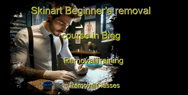 Skinart Beginner's removal course in Bieg | RemovalTraining | RemovalClasses | SkinartTraining-Germany