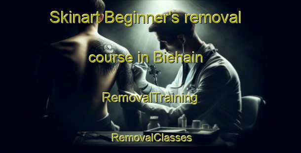 Skinart Beginner's removal course in Biehain | RemovalTraining | RemovalClasses | SkinartTraining-Germany