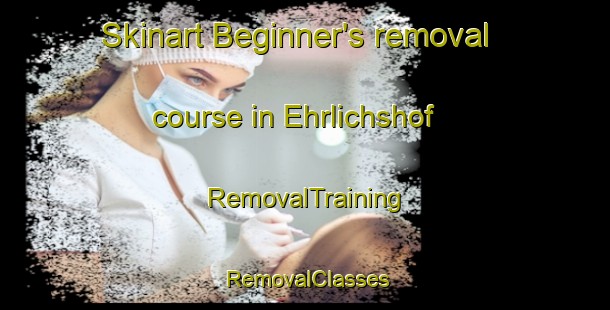 Skinart Beginner's removal course in Ehrlichshof | RemovalTraining | RemovalClasses | SkinartTraining-Germany