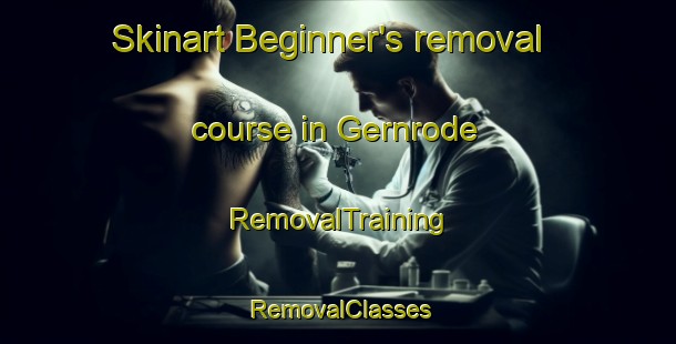 Skinart Beginner's removal course in Gernrode | RemovalTraining | RemovalClasses | SkinartTraining-Germany