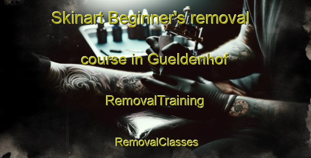Skinart Beginner's removal course in Gueldenhof | RemovalTraining | RemovalClasses | SkinartTraining-Germany