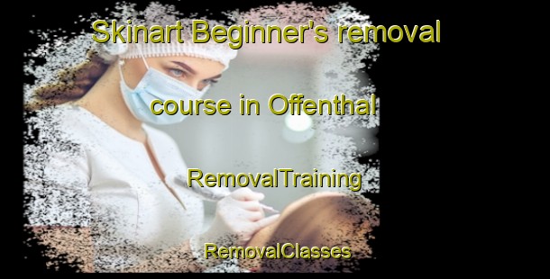 Skinart Beginner's removal course in Offenthal | RemovalTraining | RemovalClasses | SkinartTraining-Germany