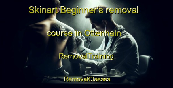 Skinart Beginner's removal course in Ottenhain | RemovalTraining | RemovalClasses | SkinartTraining-Germany
