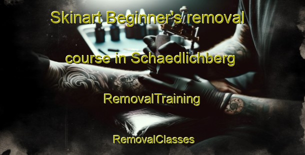 Skinart Beginner's removal course in Schaedlichberg | RemovalTraining | RemovalClasses | SkinartTraining-Germany
