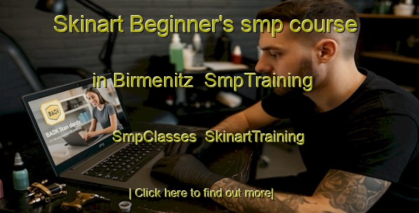 Skinart Beginner's smp course in Birmenitz | SmpTraining | SmpClasses | SkinartTraining-Germany