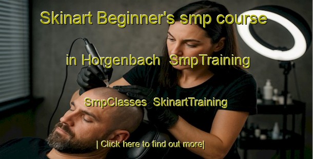 Skinart Beginner's smp course in Horgenbach | SmpTraining | SmpClasses | SkinartTraining-Germany