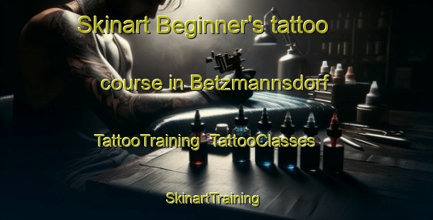 Skinart Beginner's tattoo course in Betzmannsdorf | TattooTraining | TattooClasses | SkinartTraining-Germany