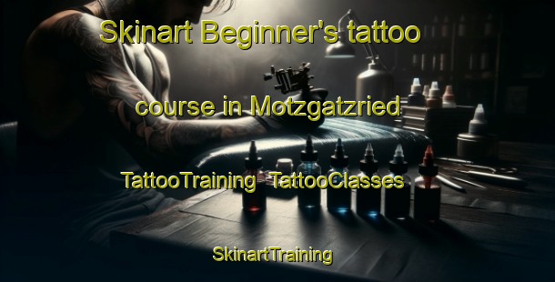 Skinart Beginner's tattoo course in Motzgatzried | TattooTraining | TattooClasses | SkinartTraining-Germany