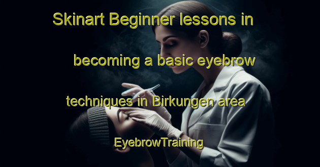 Skinart Beginner lessons in becoming a basic eyebrow techniques in Birkungen area | EyebrowTraining | EyebrowClasses | SkinartTraining-Germany