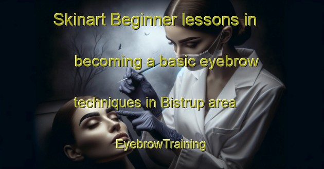Skinart Beginner lessons in becoming a basic eyebrow techniques in Bistrup area | EyebrowTraining | EyebrowClasses | SkinartTraining-Germany