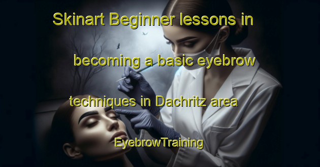 Skinart Beginner lessons in becoming a basic eyebrow techniques in Dachritz area | EyebrowTraining | EyebrowClasses | SkinartTraining-Germany