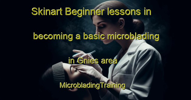 Skinart Beginner lessons in becoming a basic microblading in Gnies area | MicrobladingTraining | MicrobladingClasses | SkinartTraining-Germany