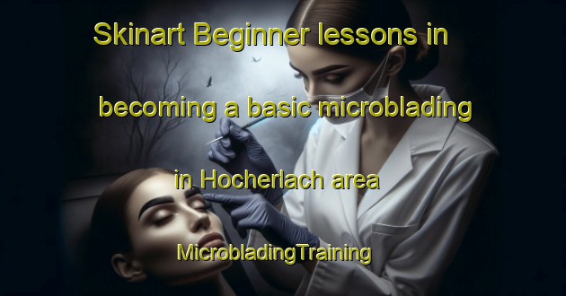 Skinart Beginner lessons in becoming a basic microblading in Hocherlach area | MicrobladingTraining | MicrobladingClasses | SkinartTraining-Germany