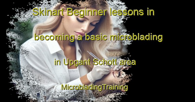 Skinart Beginner lessons in becoming a basic microblading in Upgant Schott area | MicrobladingTraining | MicrobladingClasses | SkinartTraining-Germany