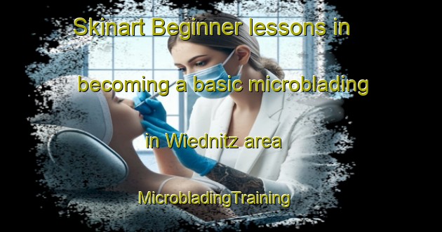 Skinart Beginner lessons in becoming a basic microblading in Wiednitz area | MicrobladingTraining | MicrobladingClasses | SkinartTraining-Germany
