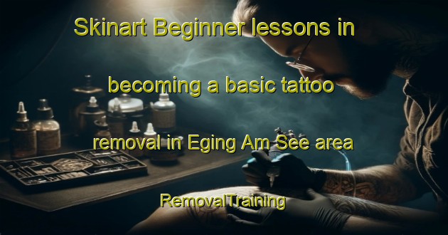 Skinart Beginner lessons in becoming a basic tattoo removal in Eging Am See area | RemovalTraining | RemovalClasses | SkinartTraining-Germany