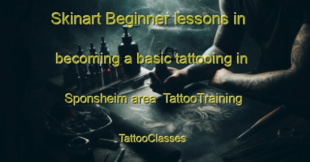 Skinart Beginner lessons in becoming a basic tattooing in Sponsheim area | TattooTraining | TattooClasses | SkinartTraining-Germany
