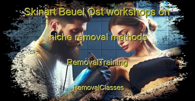 Skinart Beuel Ost workshops on niche removal methods | RemovalTraining | RemovalClasses | SkinartTraining-Germany