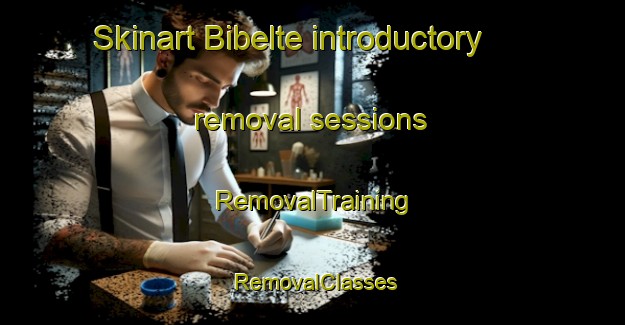Skinart Bibelte introductory removal sessions | RemovalTraining | RemovalClasses | SkinartTraining-Germany