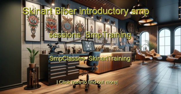 Skinart Biber introductory smp sessions | SmpTraining | SmpClasses | SkinartTraining-Germany