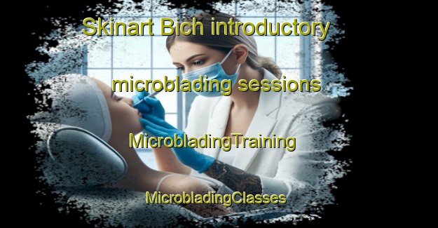 Skinart Bich introductory microblading sessions | MicrobladingTraining | MicrobladingClasses | SkinartTraining-Germany