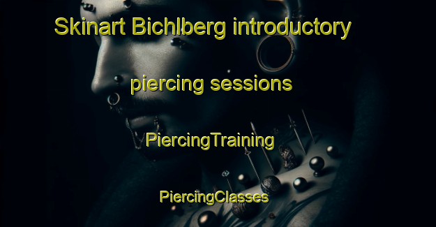Skinart Bichlberg introductory piercing sessions | PiercingTraining | PiercingClasses | SkinartTraining-Germany