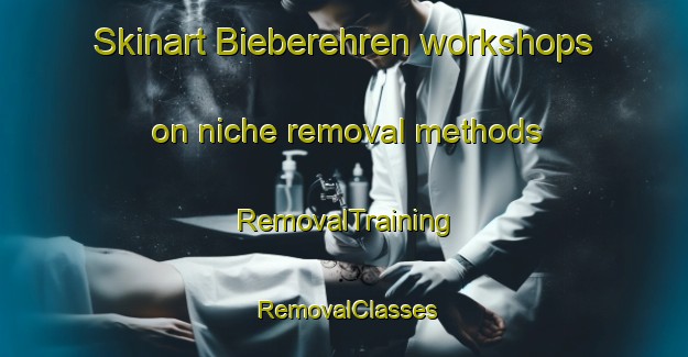 Skinart Bieberehren workshops on niche removal methods | RemovalTraining | RemovalClasses | SkinartTraining-Germany