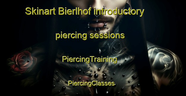 Skinart Bierlhof introductory piercing sessions | PiercingTraining | PiercingClasses | SkinartTraining-Germany