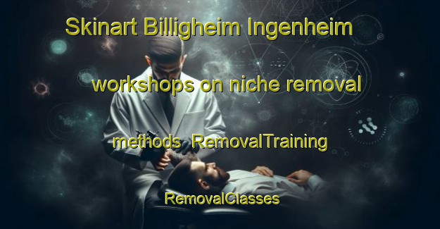 Skinart Billigheim Ingenheim workshops on niche removal methods | RemovalTraining | RemovalClasses | SkinartTraining-Germany