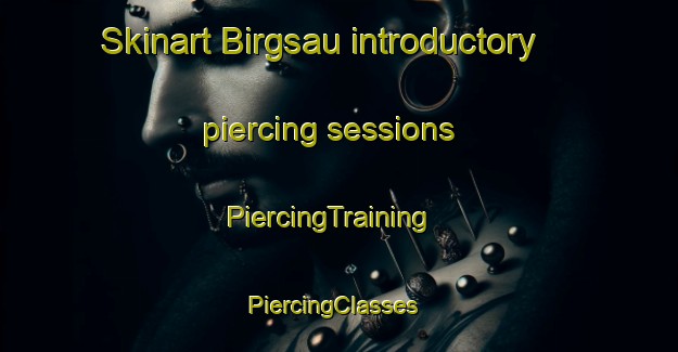 Skinart Birgsau introductory piercing sessions | PiercingTraining | PiercingClasses | SkinartTraining-Germany