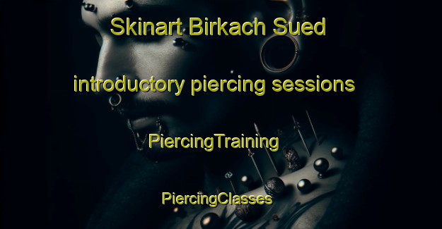 Skinart Birkach Sued introductory piercing sessions | PiercingTraining | PiercingClasses | SkinartTraining-Germany