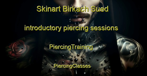 Skinart Birkach Sued introductory piercing sessions | PiercingTraining | PiercingClasses | SkinartTraining-Germany