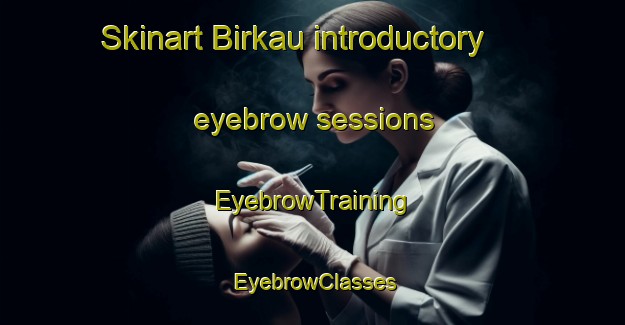 Skinart Birkau introductory eyebrow sessions | EyebrowTraining | EyebrowClasses | SkinartTraining-Germany