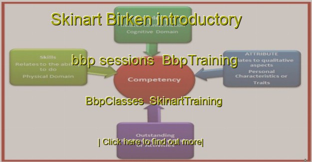 Skinart Birken introductory bbp sessions | BbpTraining | BbpClasses | SkinartTraining-Germany