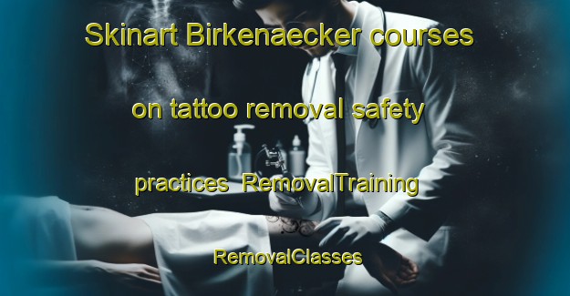 Skinart Birkenaecker courses on tattoo removal safety practices | RemovalTraining | RemovalClasses | SkinartTraining-Germany