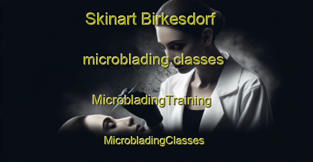Skinart Birkesdorf microblading classes | MicrobladingTraining | MicrobladingClasses | SkinartTraining-Germany