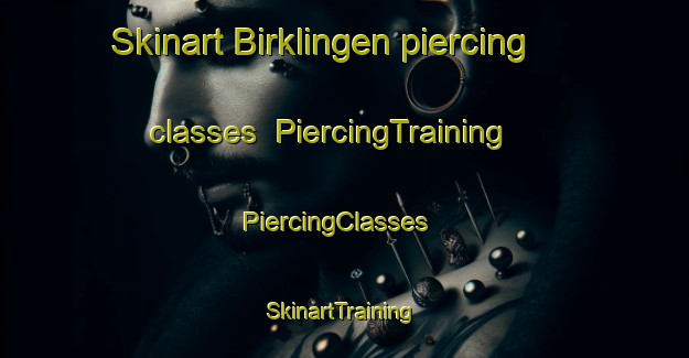Skinart Birklingen piercing classes | PiercingTraining | PiercingClasses | SkinartTraining-Germany