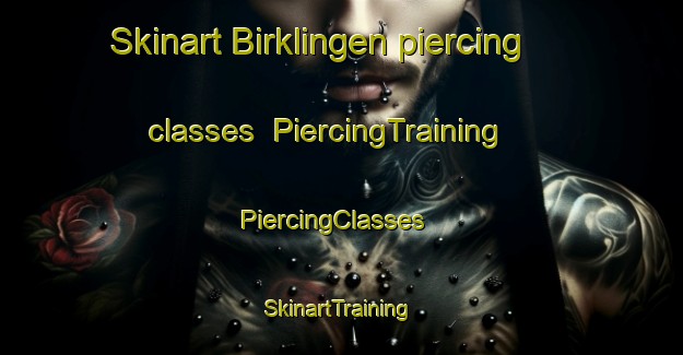 Skinart Birklingen piercing classes | PiercingTraining | PiercingClasses | SkinartTraining-Germany