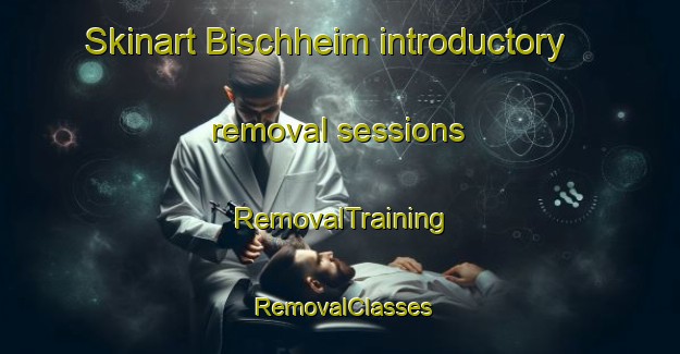 Skinart Bischheim introductory removal sessions | RemovalTraining | RemovalClasses | SkinartTraining-Germany