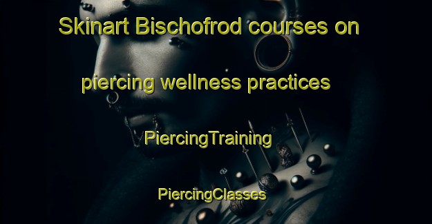 Skinart Bischofrod courses on piercing wellness practices | PiercingTraining | PiercingClasses | SkinartTraining-Germany