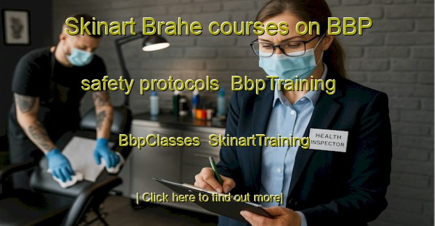 Skinart Brahe courses on BBP safety protocols | BbpTraining | BbpClasses | SkinartTraining-Germany